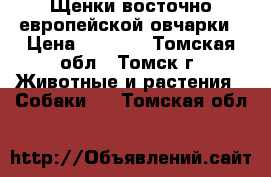 Щенки восточно-европейской овчарки › Цена ­ 8 000 - Томская обл., Томск г. Животные и растения » Собаки   . Томская обл.